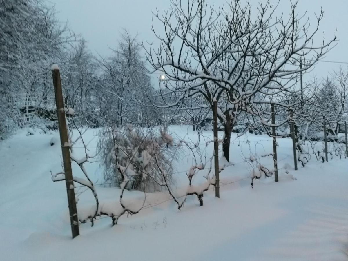 Maso Daue Villa Marter Bagian luar foto