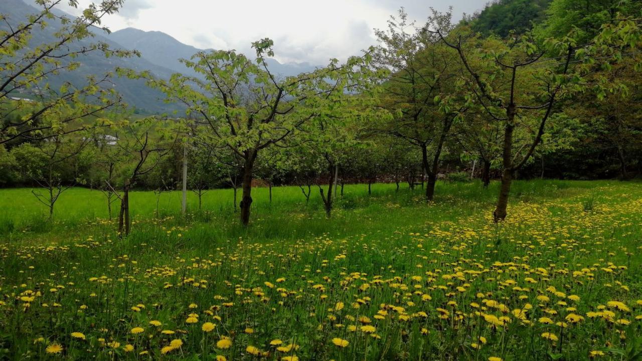 Maso Daue Villa Marter Bagian luar foto