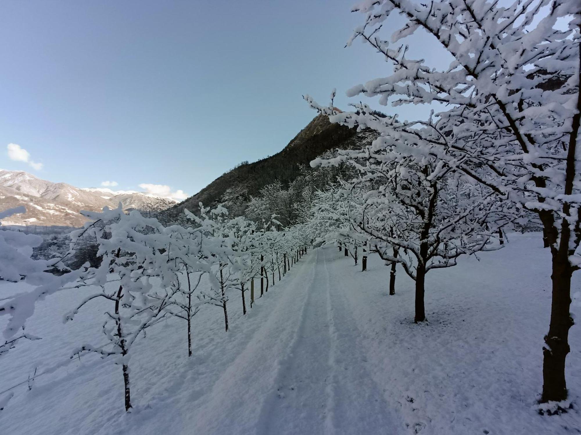 Maso Daue Villa Marter Bagian luar foto
