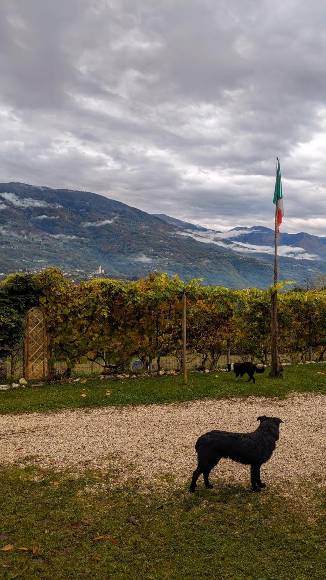 Maso Daue Villa Marter Bagian luar foto