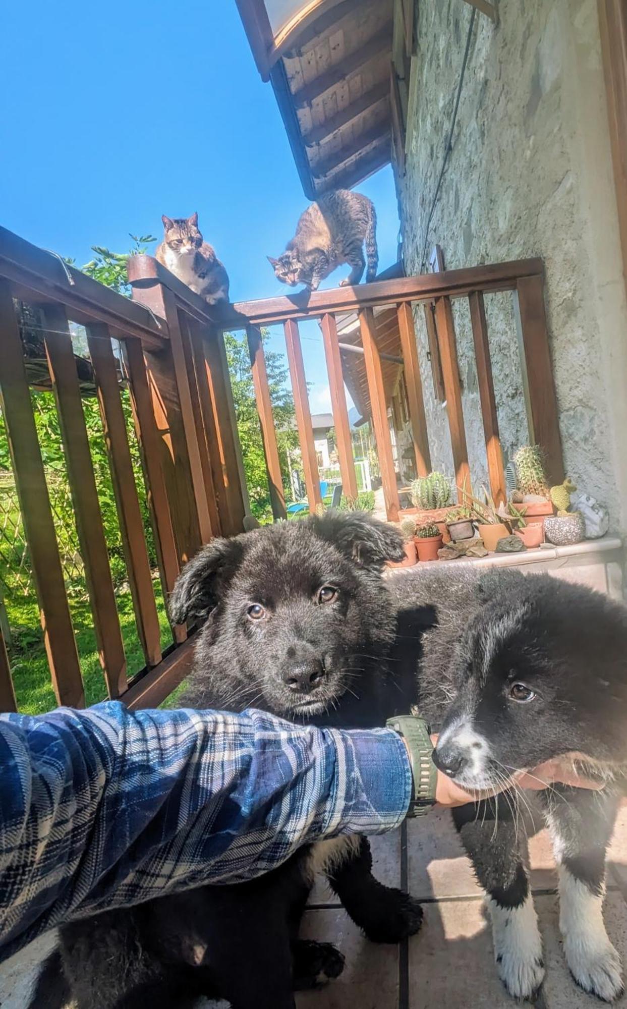 Maso Daue Villa Marter Bagian luar foto